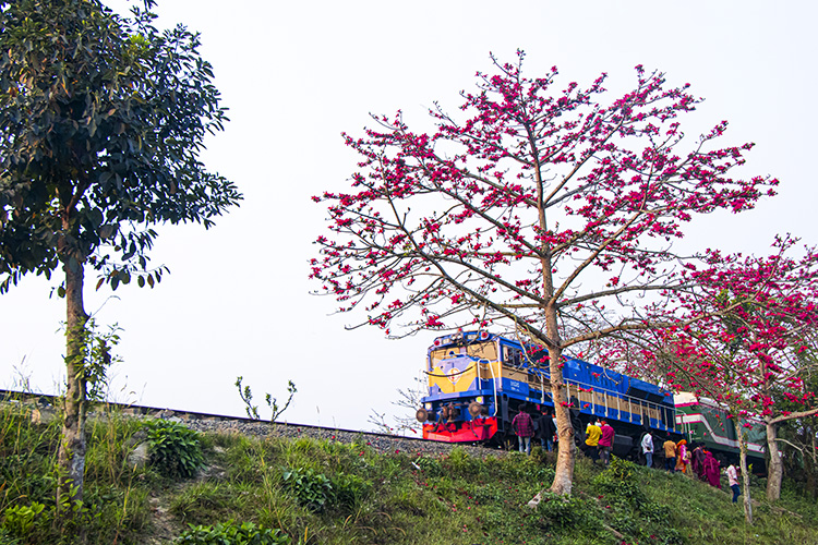 Blossom and Iron Journey