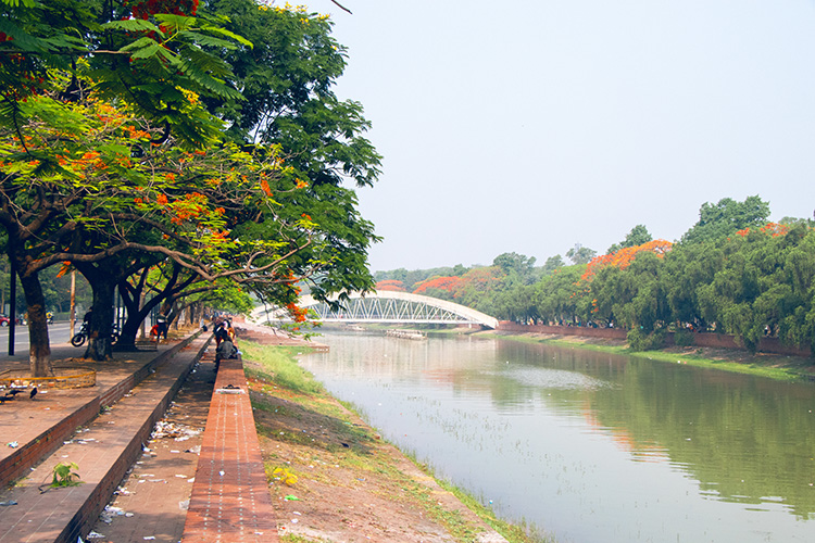 Riverside Flamboyance Pathway