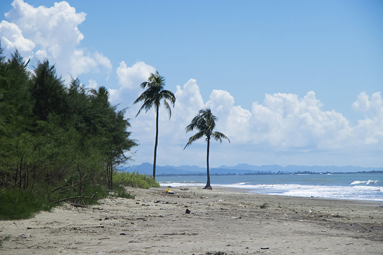 Coastal Serenity Horizon