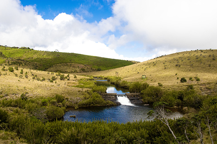 Highland River Serenity